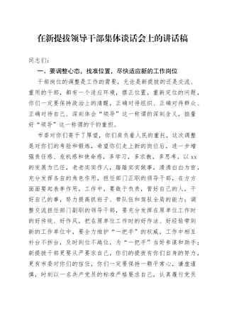 在新提拔领导干部集体谈话会上的讲话稿
