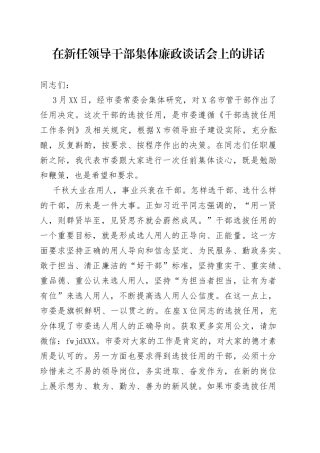在新任领导干部集体廉政谈话会上的讲话