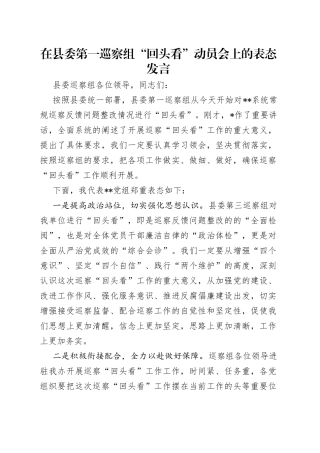 在县委第一巡察组“回头看”动员会上的表态发言（1）