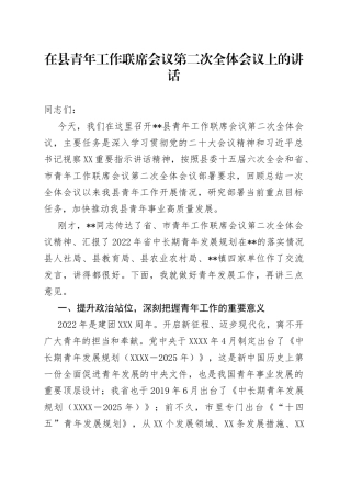 在县青年工作联席会议第二次全体会议上的讲话2