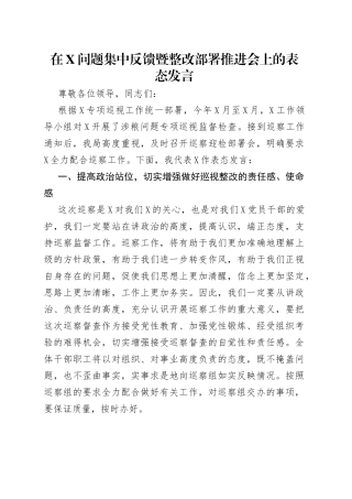 在问题集中反馈暨整改部署推进会上的表态发言