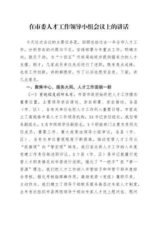 在市委人才工作领导小组会议上的讲话