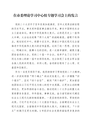 在市委理论学习中心组专题学习会上的发言08