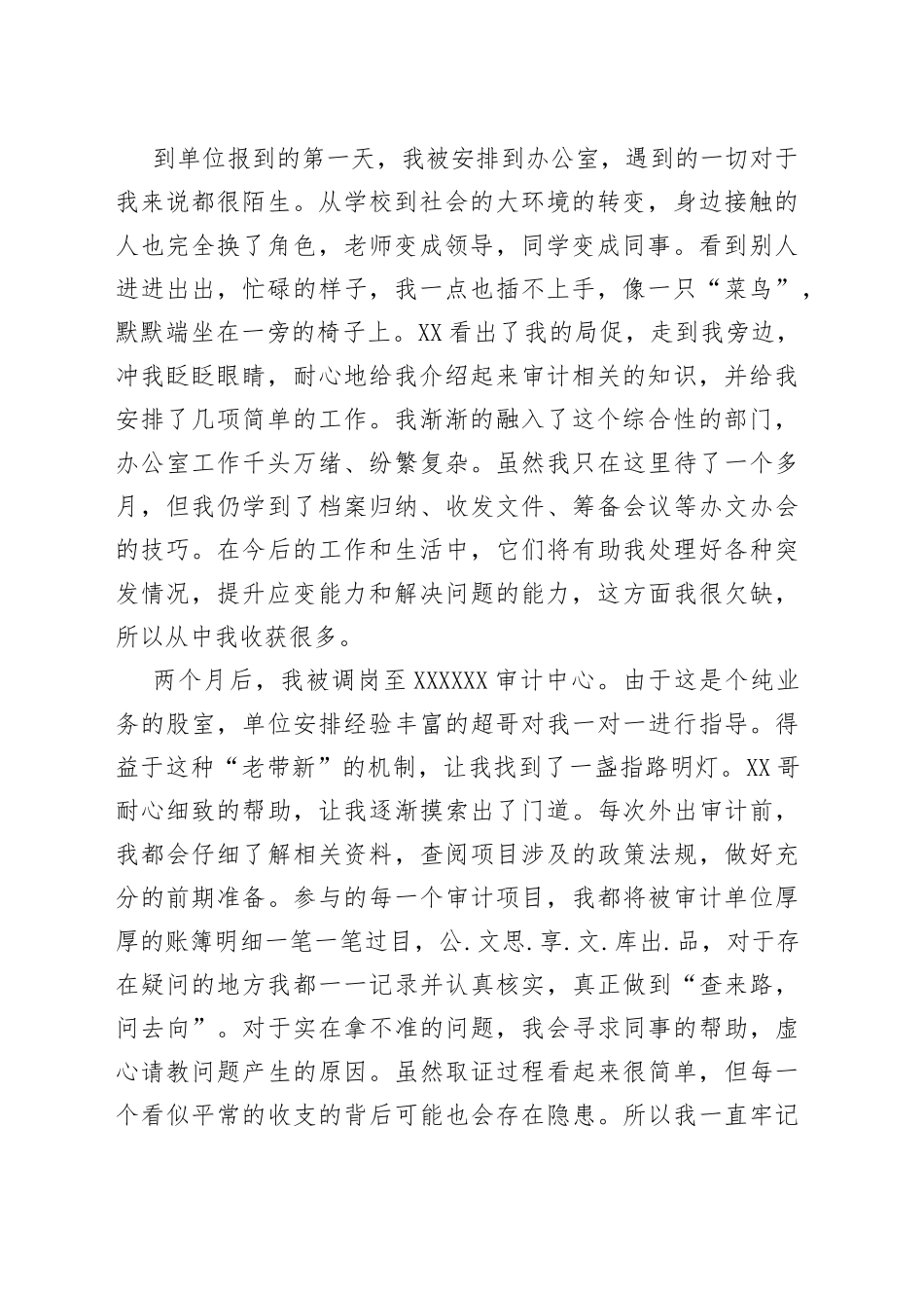 在审计系统的实习报告27_第2页