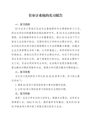 在审计系统的实习报告27