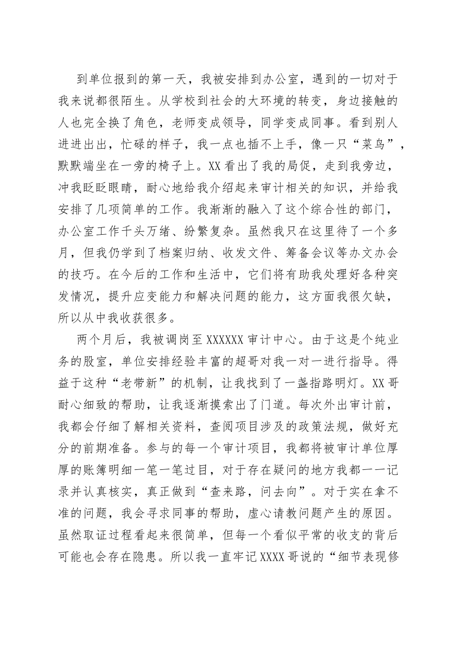 在审计系统的实习报告_第2页