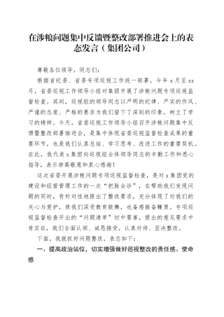 在涉粮问题集中反馈暨整改部署推进会上的表态发言（集团公司）