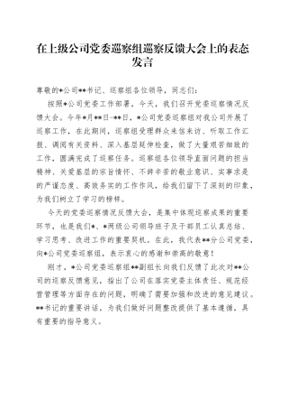 在上级公司党委巡察组巡察反馈大会上的表态发言（2）