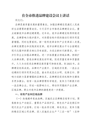 在全市推进品牌建设会议上讲话