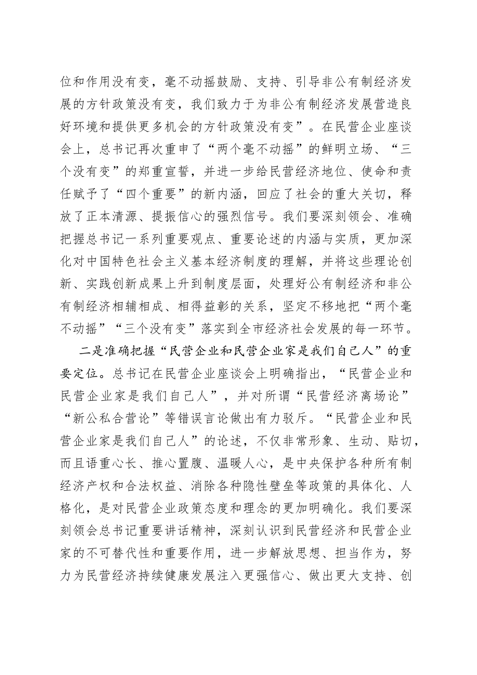 在全市推动民营经济高质量发展大会上讲话_第2页