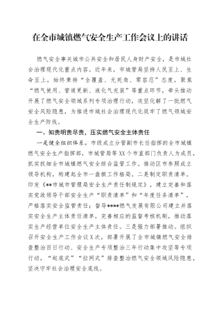 在全市城镇燃气安全生产工作会议上的讲话