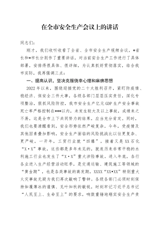 在全市安全生产会议上的讲话915