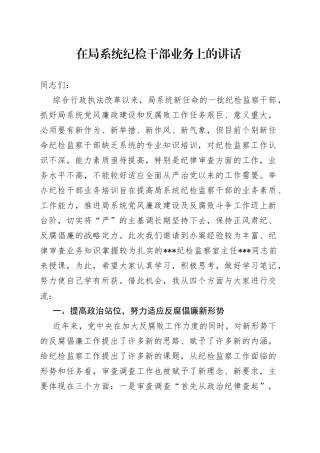 在局系统纪检干部业务上的讲话234