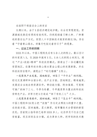 在挂职干部座谈会上的发言