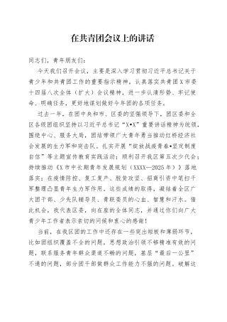 在共青团会议上的讲话