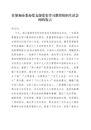 在参加市委办党支部党史学习教育组织生活会时的发言