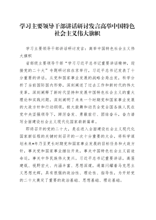 学习主要领导干部讲话研讨发言高举中国特色社会主义伟大旗帜