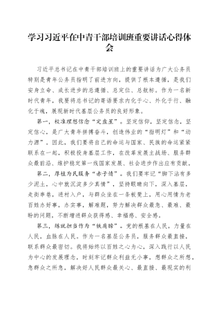 学习习近平在中青干部培训班重要讲话心得体会