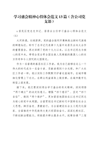 学习盛会精神心得体会范文13篇（含公司党支部）