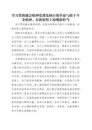 学习贯彻盛会精神党课发扬自我革命与敢于斗争精神，在新征程上展现新担当