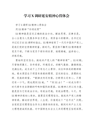 学习调研延安精神心得体会