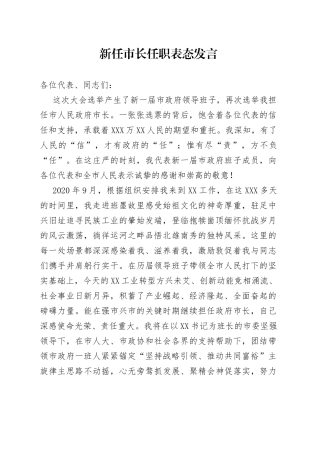 新任市长任职表态发言