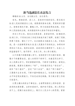 新当选副县长表态发言