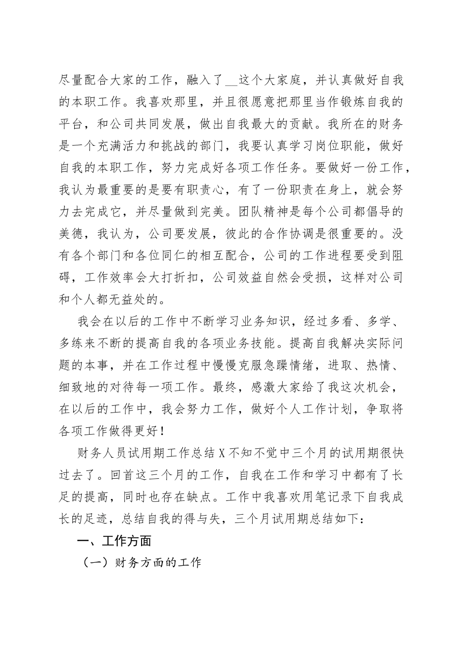 新版财务人员试用期工作总结_第2页