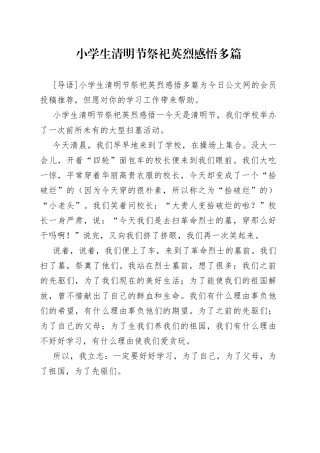 小学生清明节祭祀英烈感悟多篇