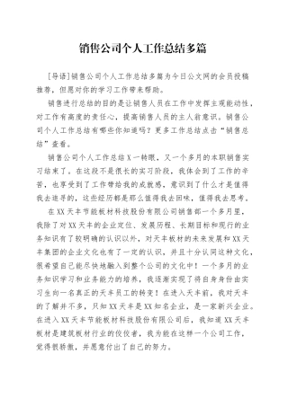 销售公司个人工作总结多篇