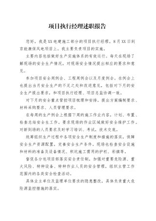 项目执行经理述职报告