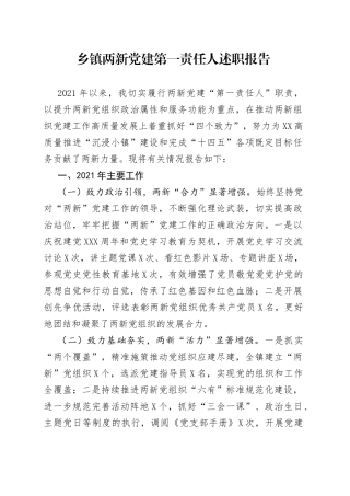 乡镇两新党建第一责任人述职报告