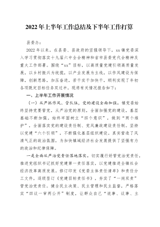 乡镇2022年上半年工作总结及下半年工作打算