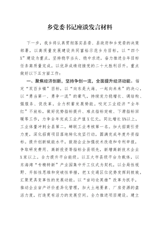 乡党委书记座谈发言材料