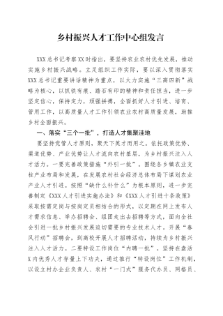 乡村振兴人才工作中心组发言