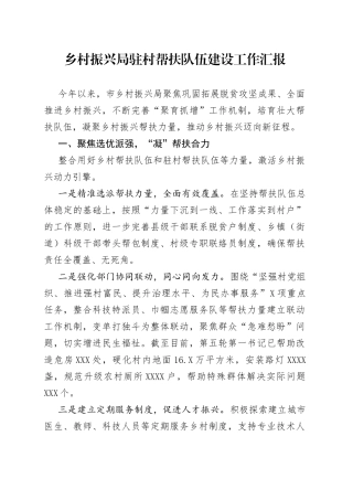 乡村振兴局驻村帮扶队伍建设工作汇报