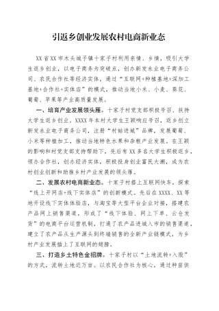 乡村振兴经验材料：引返乡创业发展农村电商新业态