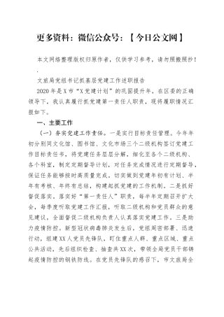 文旅局党组书记抓基层党建工作述职报告