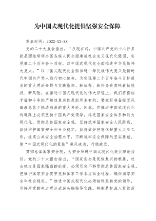 为中国式现代化提供坚强安全保障
