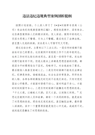 违法违纪违规典型案例剖析提纲