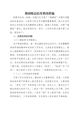 微腐败总结及整改措施