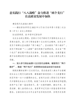 宁波市委十四届二次全体（扩大）会议报告._1