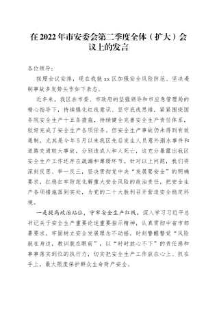在2022年市安委会第二季度全体（扩大）会议上的发言2