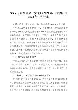 有限公司第一党支部2021年工作总结及2022年工作计划