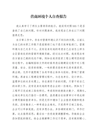 营商环境个人自查报告