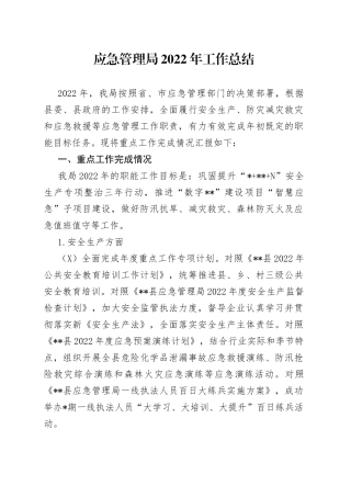 应急管理局2022年工作总结