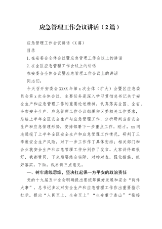 应急管理工作会议讲话（2篇）