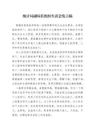 统计局副局长组织生活会发言稿