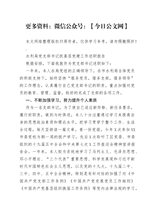 水利局党支部书记抓基层党建工作述职报告