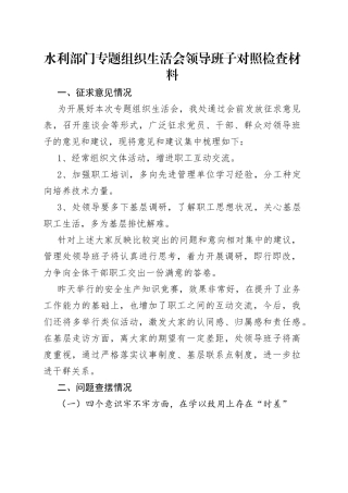 水利部门专题组织生活会领导班子对照检查材料